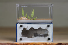 Mini Hearth (Dark Blue 8040)