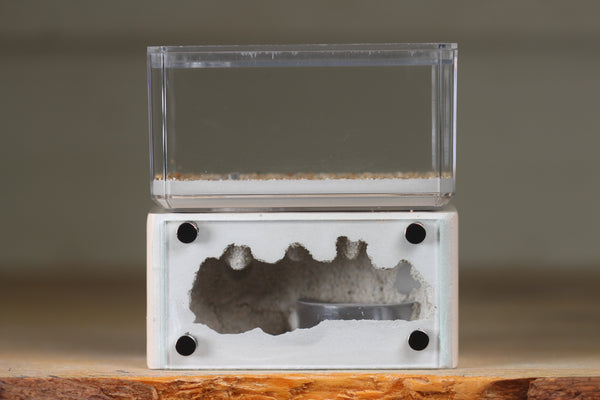 Mini Hearth (Bone 8107)