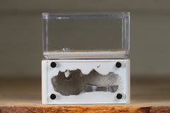 Mini Hearth (Bone 8109)