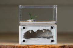Mini Hearth (Bone 8110)