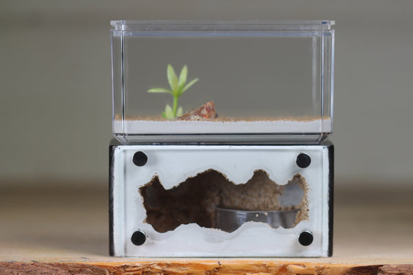 Mini Hearth (Black 8102)