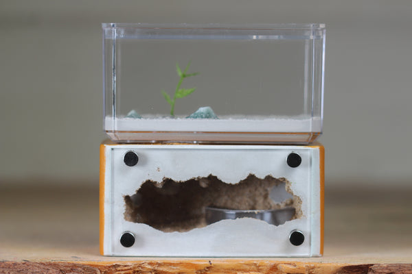 Mini Hearth (Terra 8117)