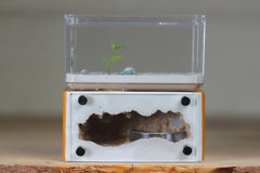 Mini Hearth (Terra 8117)