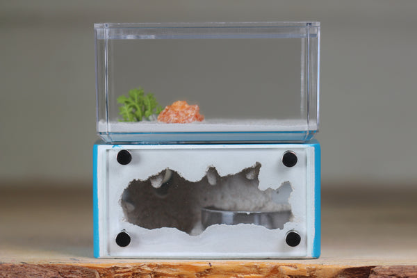 Mini Hearth (Aqua Blue 8122)