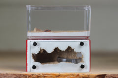 Mini Hearth (Red 8123)