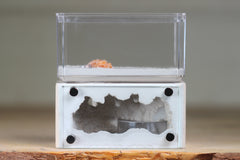 Mini Hearth (Bone 8111)