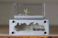 Mini Hearth XL (Light Blue 3551)(GLOW)