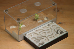 Mini Labyrinth (Black 3304)(Canyon)(MQ Box)