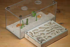 Mini Labyrinth (Bone 3305)(Canyon)( MQ Box)