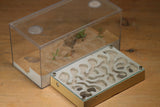 Mini Labyrinth (Beige 3311)(Canyon)