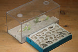 Mini Labyrinth (Aqua Blue 3314)(Canyon)