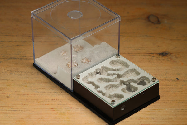 Fallen Fortress (Black 3102)