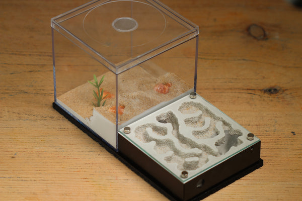 Fallen Fortress (Black 3103)