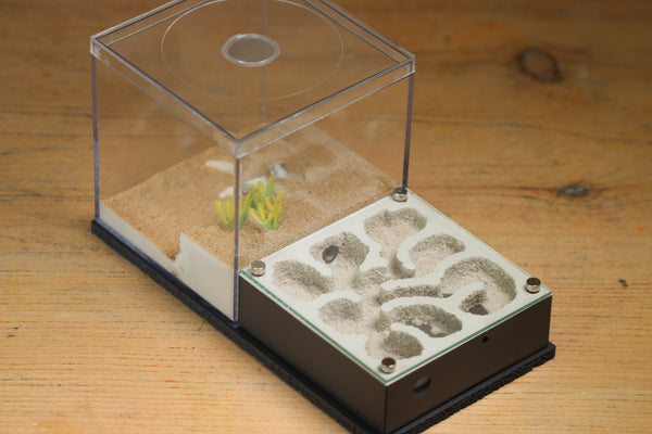 Fallen Fortress (Grey 3109)