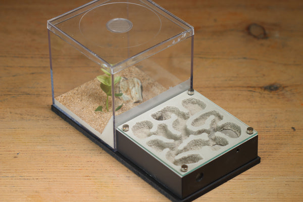 Fallen Fortress (Grey 3112)