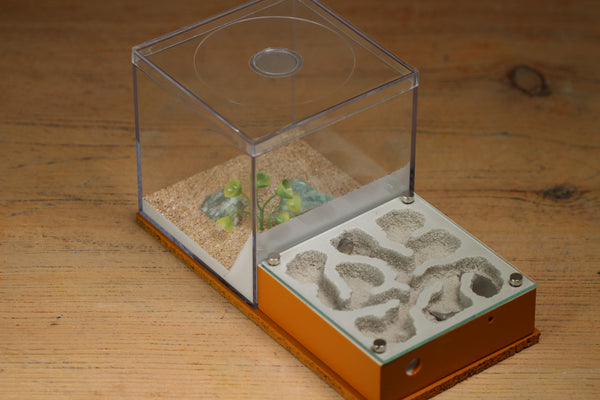 Fallen Fortress (Terra 3113)