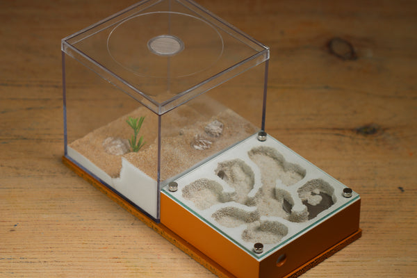 Fallen Fortress (Terra 3114)