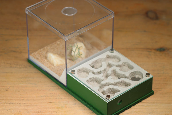 Fallen Fortress (Dark Green 3117)