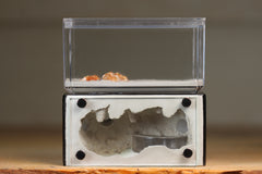 Mini Hearth (Black 8150)(GLOW)