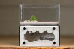 Mini Hearth (Black 8156)