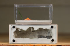 Mini Hearth XL (Bone 3580)