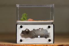 Mini Hearth (Black 8181)