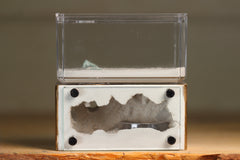 Mini Hearth (Gold 8183)