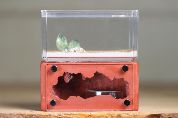 Mini Hearth (Red 8184)