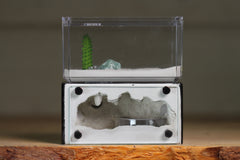 Mini Hearth (BF)(Black 3013)