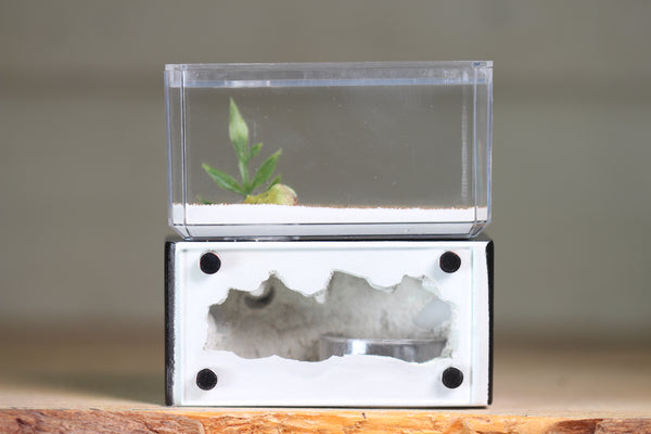 Mini Hearth (BF)(Black 3014)