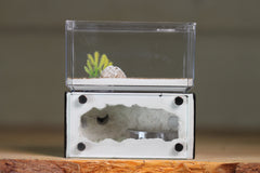 Mini Hearth (BF)(Black 3016)