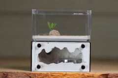 Mini Hearth (BF)(Black 3017)