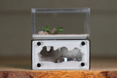 Mini Hearth (BF)(Black 3018)