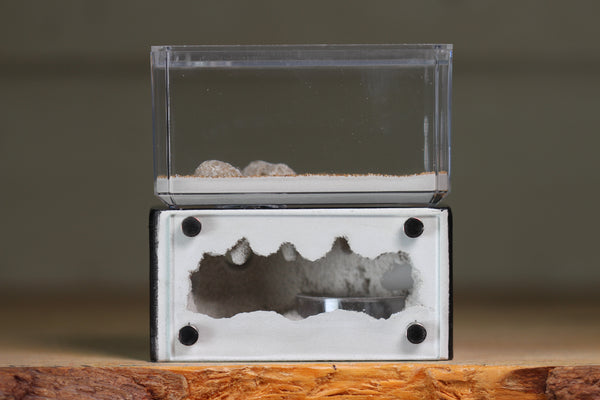 Mini Hearth (BF)(Black 3020)