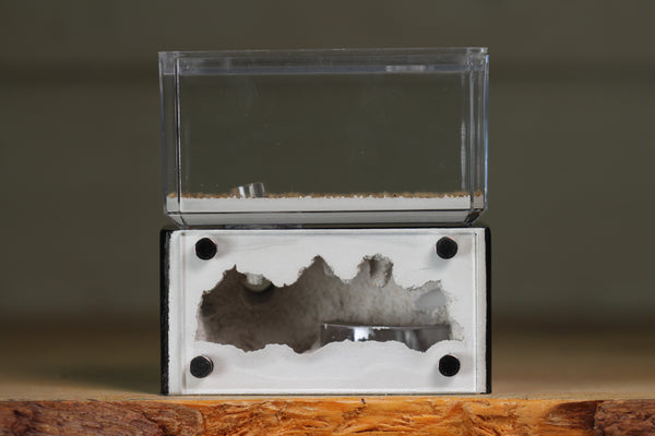 Mini Hearth (BF)(Black 3021)