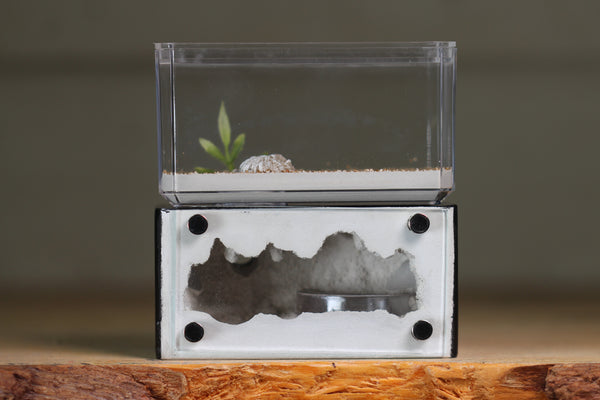 Mini Hearth (BF)(Black 3022)