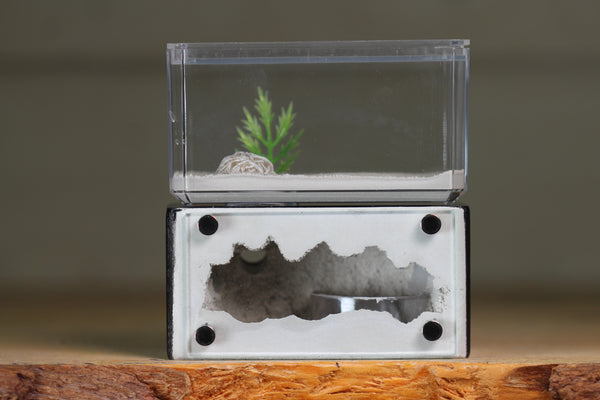 Mini Hearth (BF)(Black 3023)