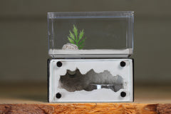 Mini Hearth (BF)(Black 3023)