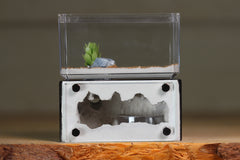 Mini Hearth (BF)(Black 3024)