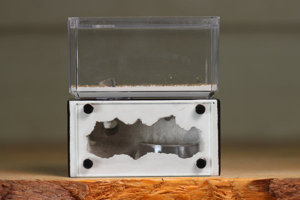 Mini Hearth (BF)(Black 3026)