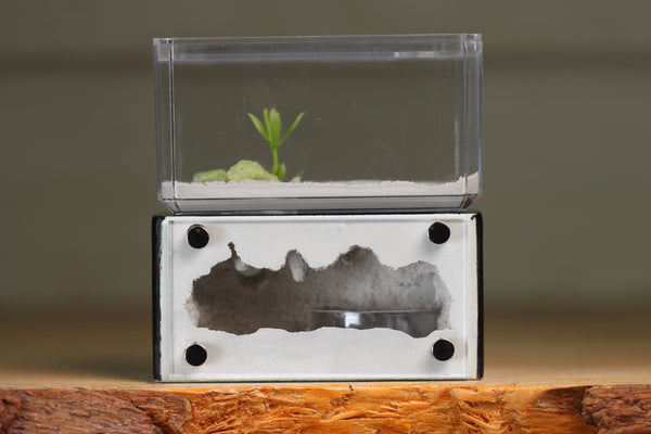 Mini Hearth (BF)(Black 3027)