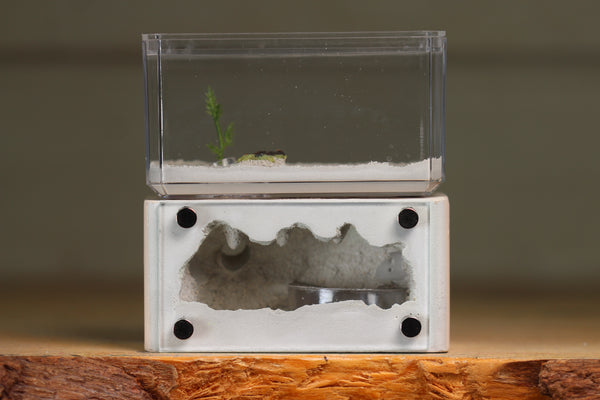 Mini Hearth (BF)(Bone 3029)