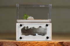 Mini Hearth (BF)(Bone 3030)