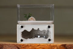 Mini Hearth (BF)(Bone 3032)