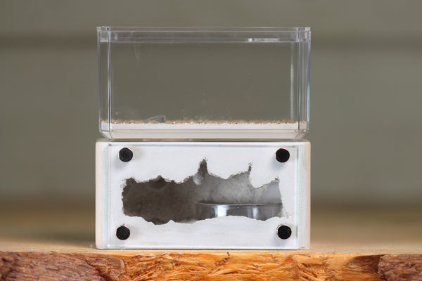 Mini Hearth (BF)(Bone 3033)