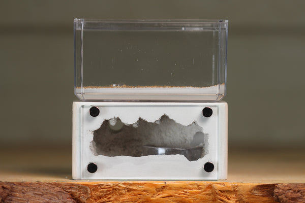 Mini Hearth (BF)(Bone 3034)