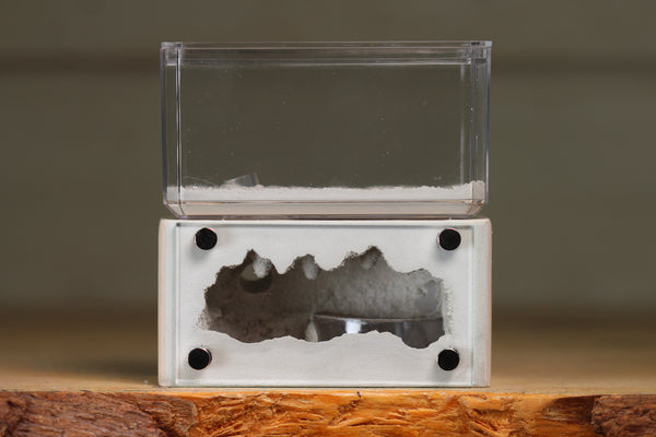 Mini Hearth (BF)(Bone 3036)