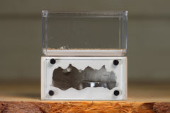 Mini Hearth (BF)(Bone 3038)