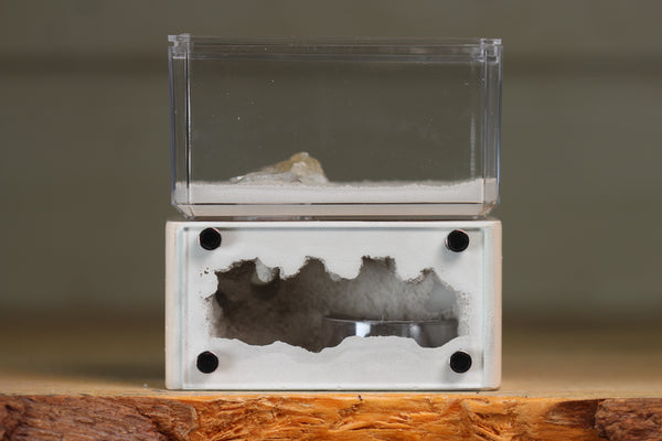 Mini Hearth (BF)(Bone 3039)