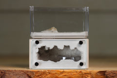 Mini Hearth (BF)(Bone 3039)